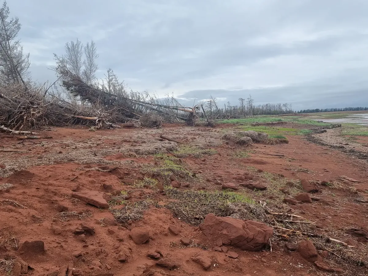 Red sand shore with trees fallen along the bank