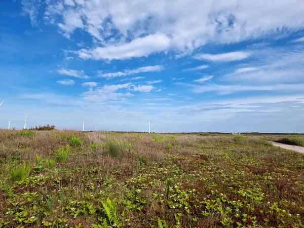 Open coastal heath under a wide blue sky