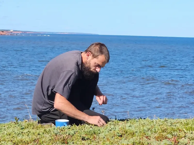 Brandon Bernard collecting seed beside the shoreline